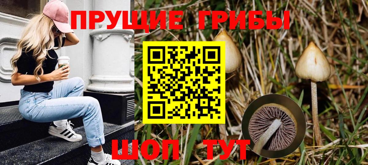 Галлюциногенные грибы GOLDEN TEACHER Люберцы